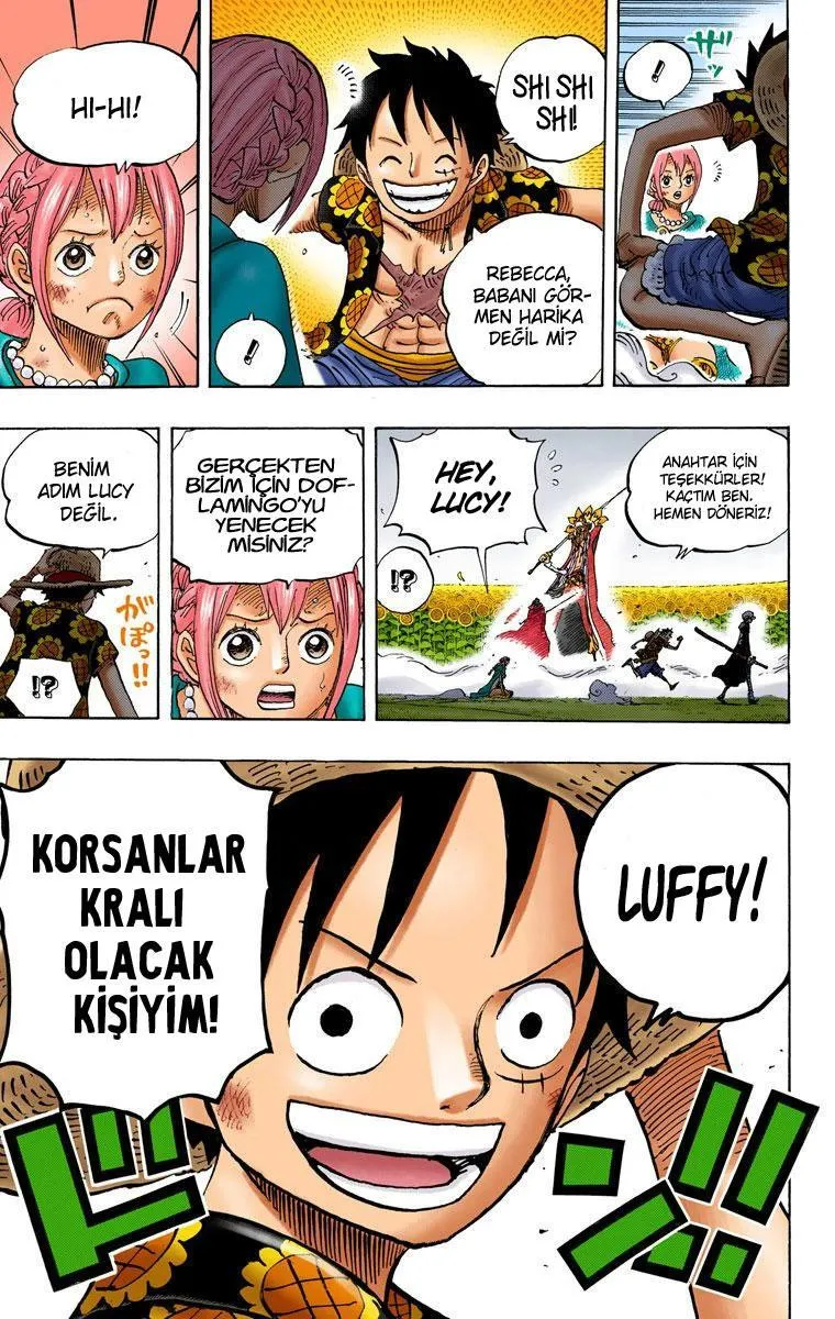 One Piece [Renkli] - Sayfa 4