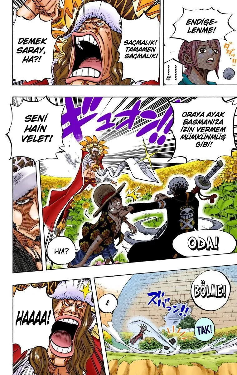 One Piece [Renkli] - Sayfa 5