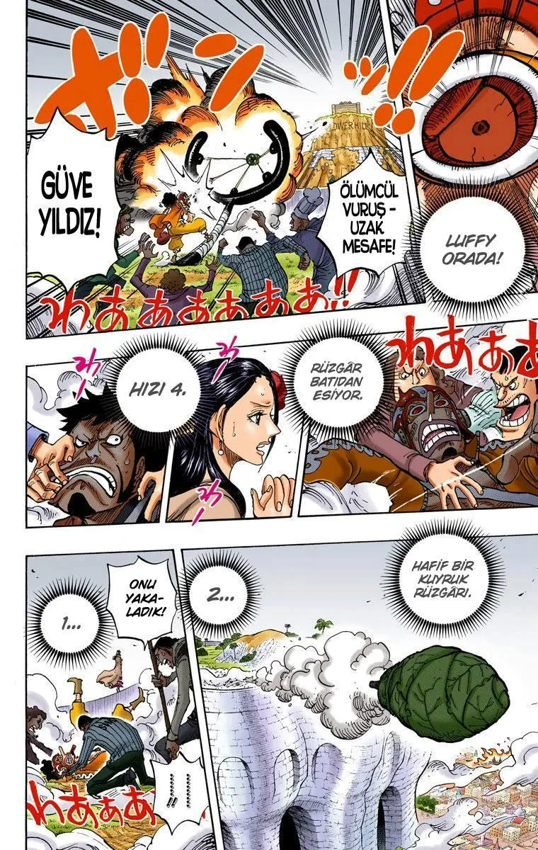 One Piece [Renkli] - Sayfa 13