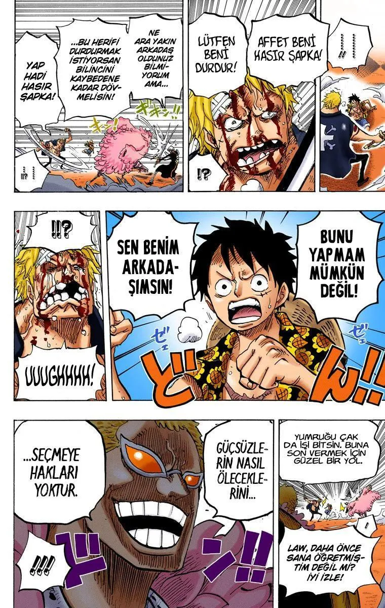 One Piece [Renkli] - Sayfa 13