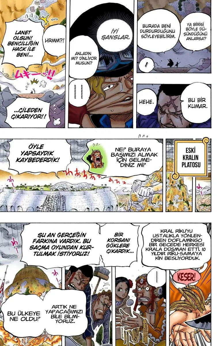 One Piece [Renkli] - Sayfa 4