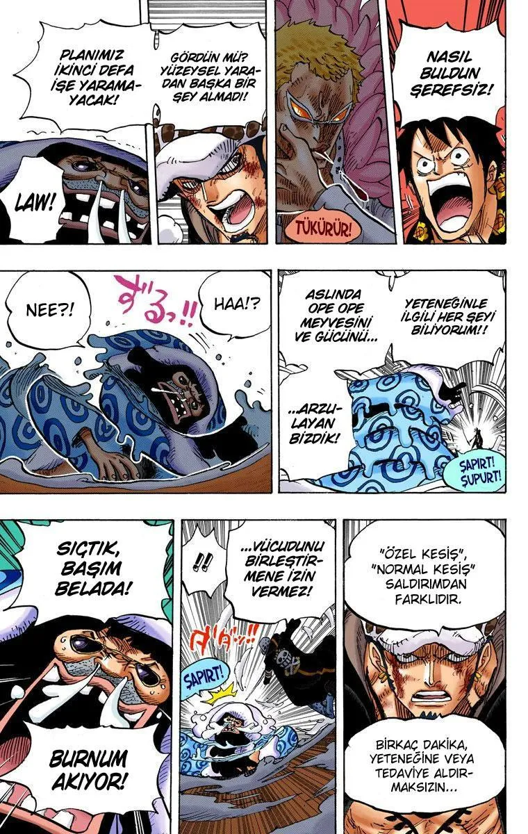 One Piece [Renkli] - Sayfa 7