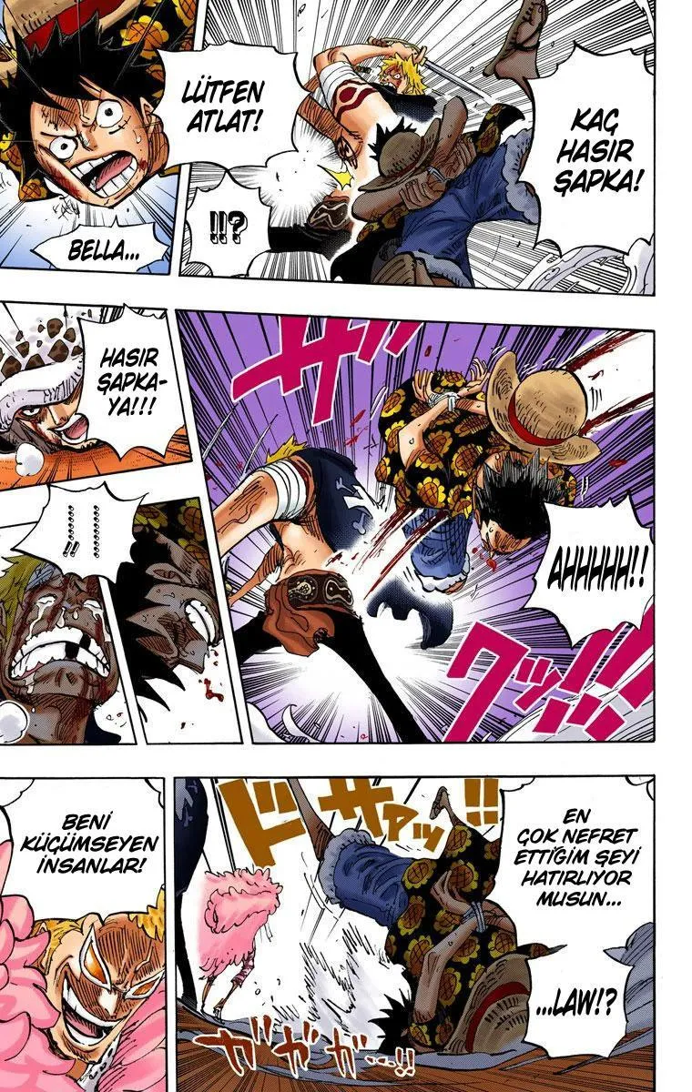 One Piece [Renkli] - Sayfa 11