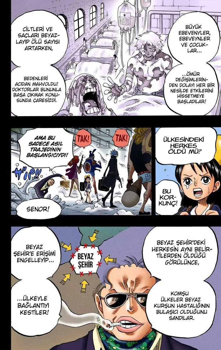 One Piece [Renkli] - Sayfa 10