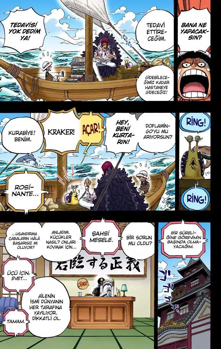 One Piece [Renkli] - Sayfa 13
