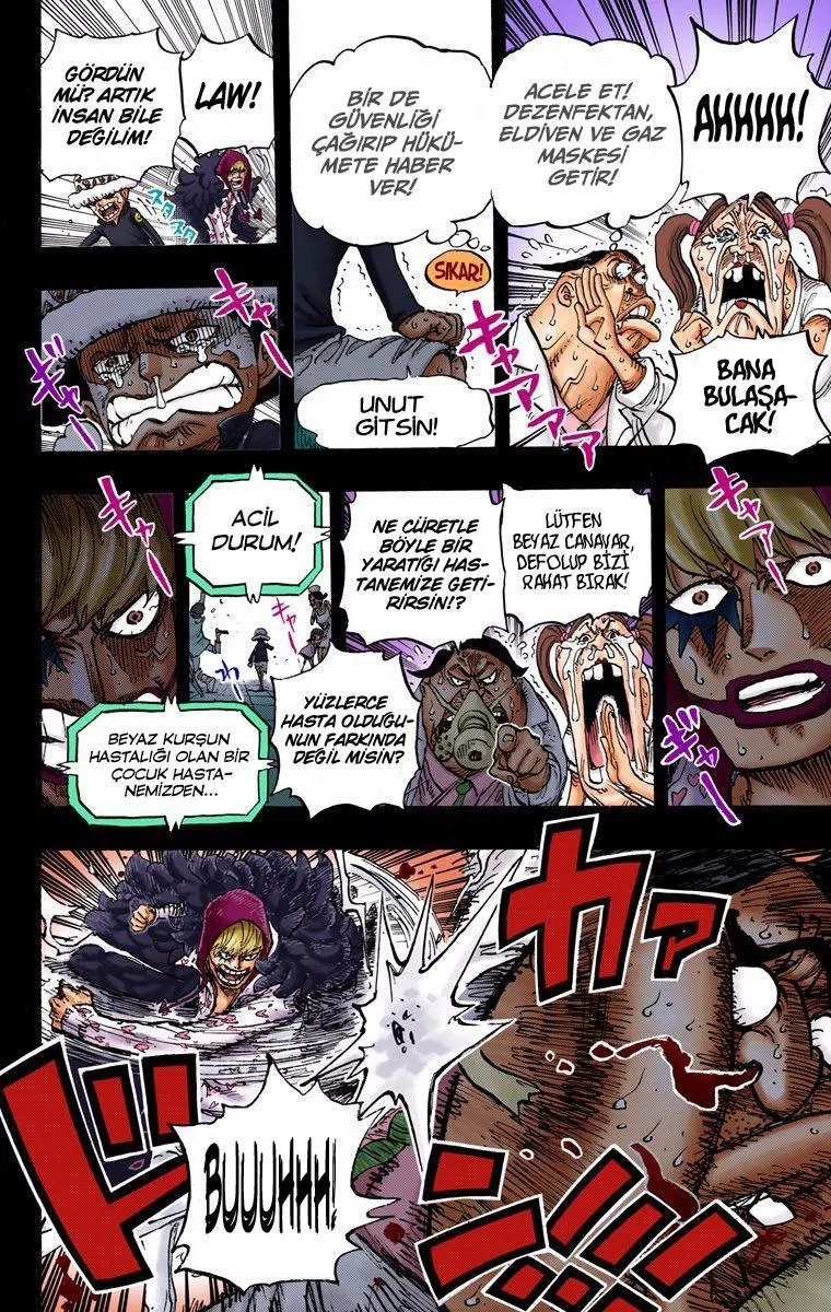 One Piece [Renkli] - Sayfa 16