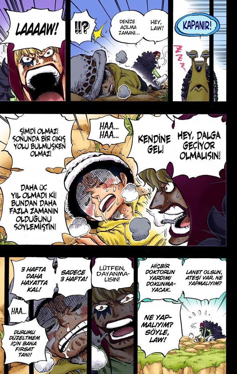One Piece [Renkli] - Sayfa 10