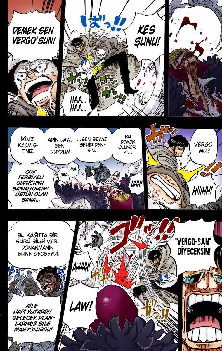 One Piece [Renkli] - Sayfa 13