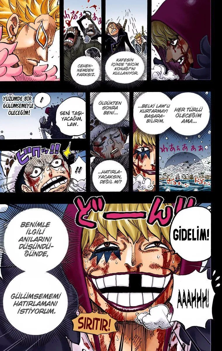 One Piece [Renkli] - Sayfa 17