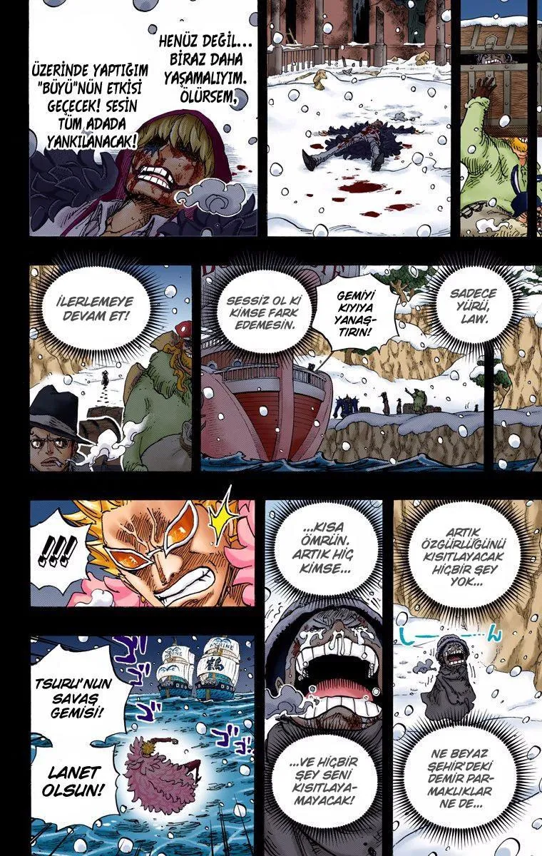 One Piece [Renkli] - Sayfa 17