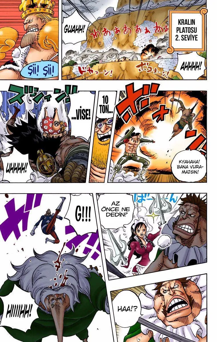 One Piece [Renkli] - Sayfa 12