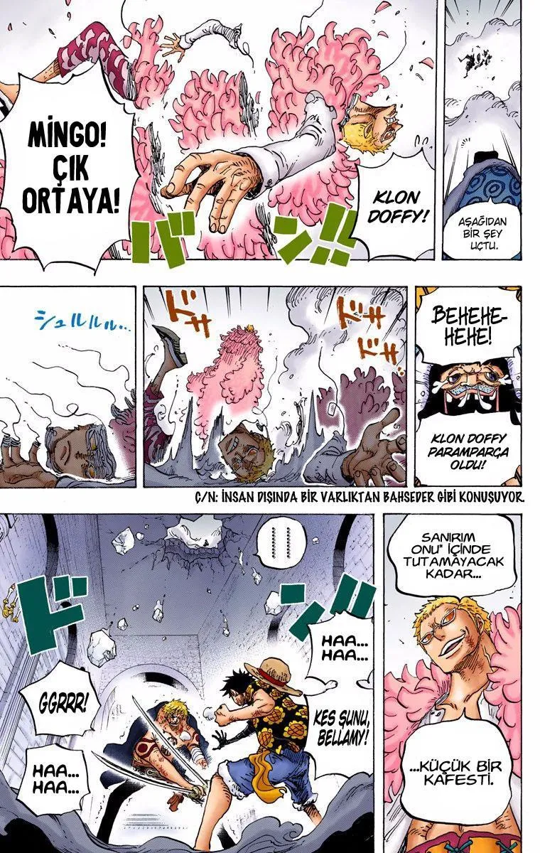 One Piece [Renkli] - Sayfa 12