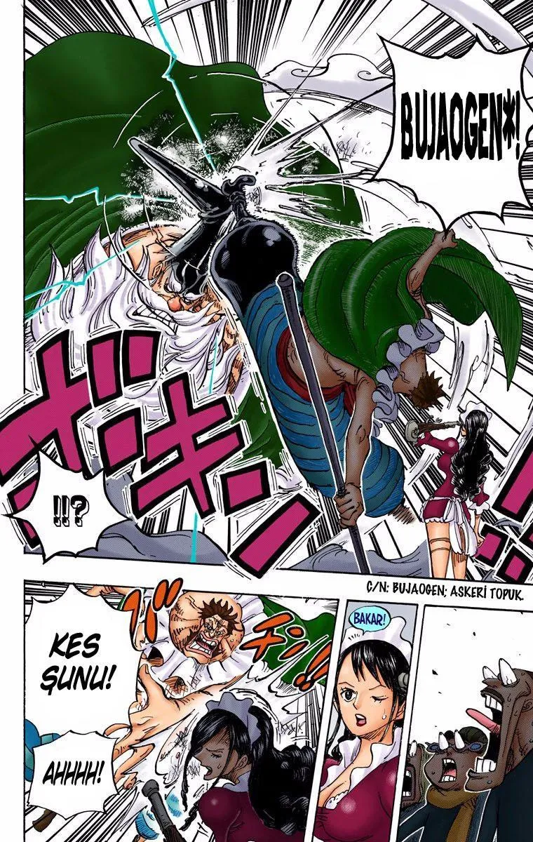 One Piece [Renkli] - Sayfa 12