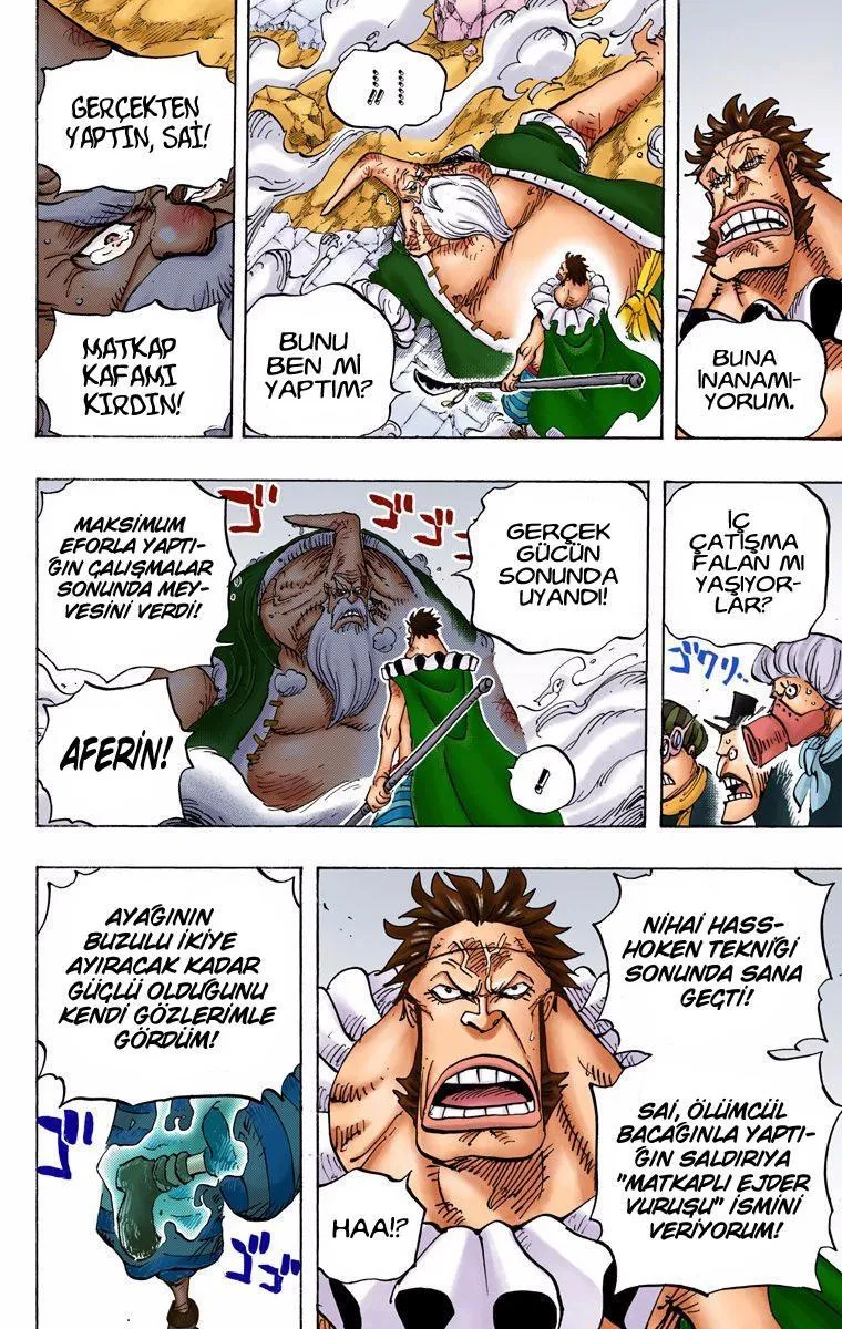 One Piece [Renkli] - Sayfa 14