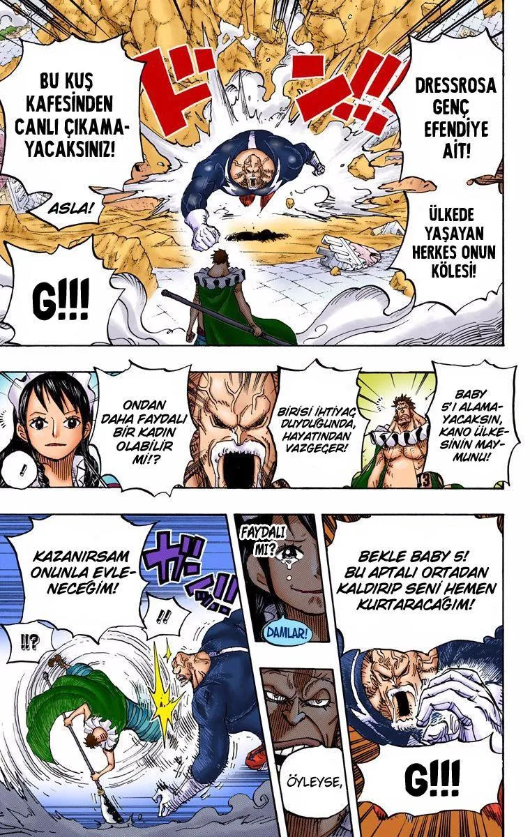 One Piece [Renkli] - Sayfa 17