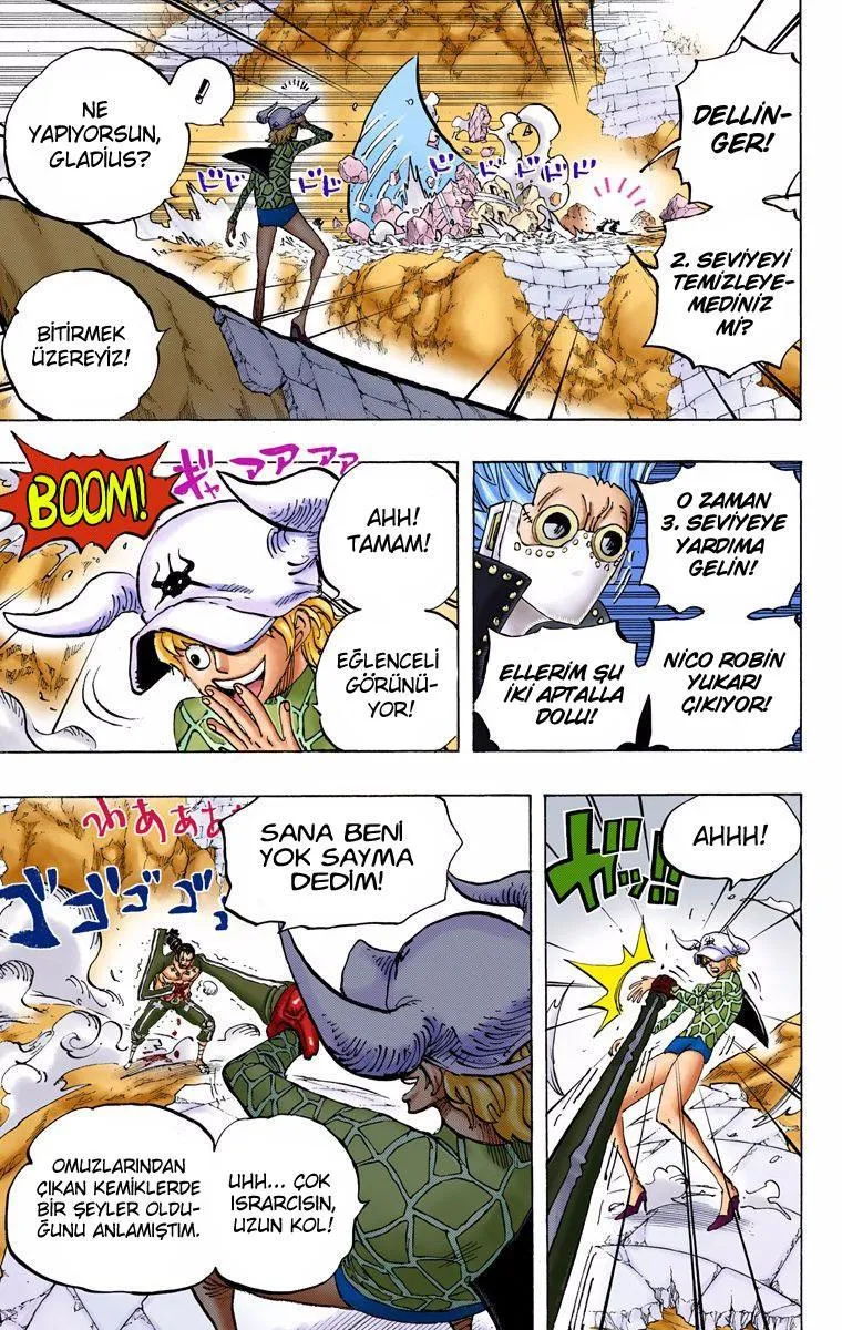 One Piece [Renkli] - Sayfa 13