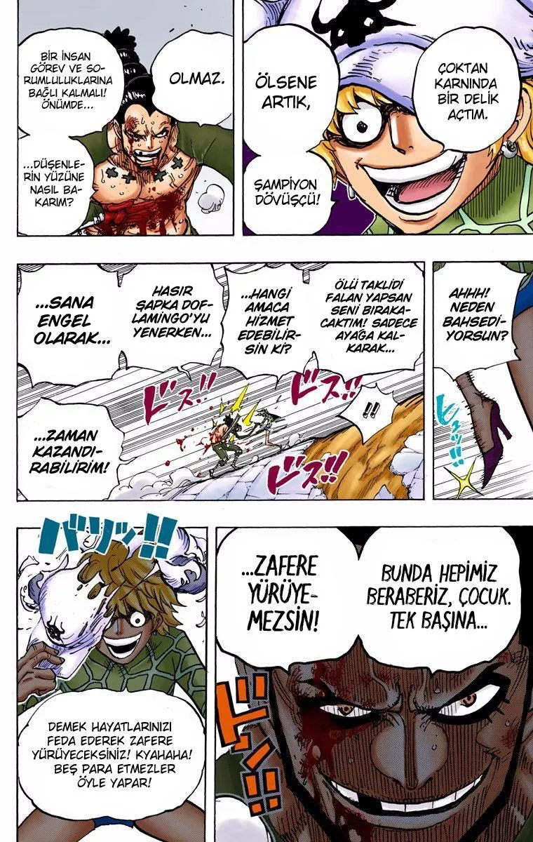 One Piece [Renkli] - Sayfa 14