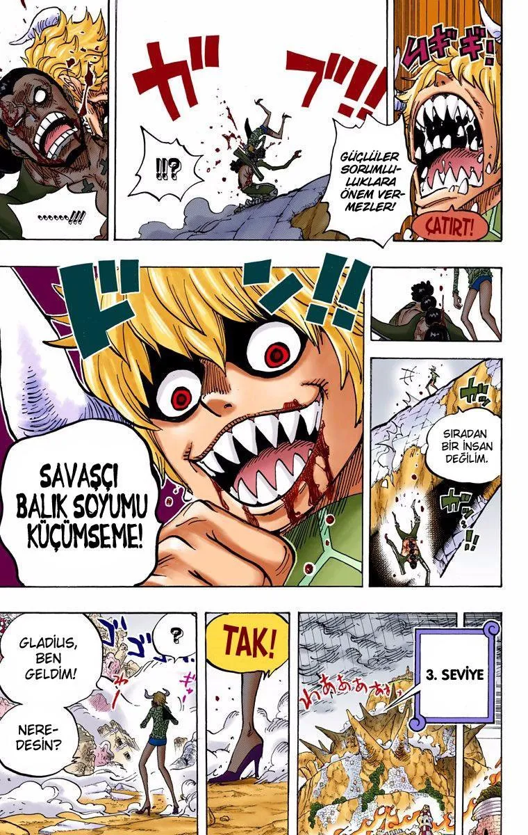 One Piece [Renkli] - Sayfa 15