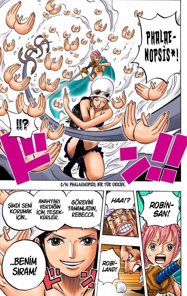 One Piece [Renkli] - Sayfa 18