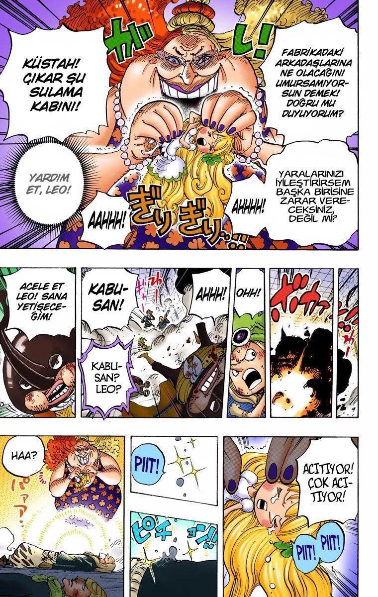 One Piece [Renkli] - Sayfa 9