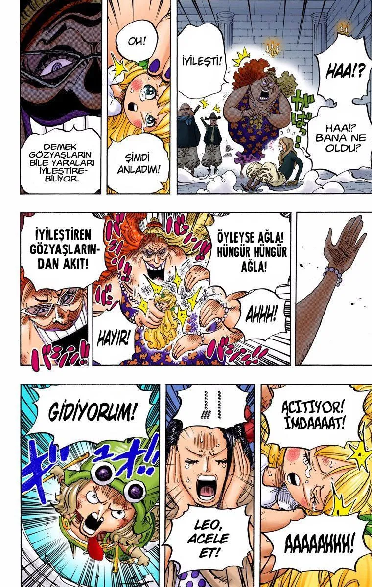 One Piece [Renkli] - Sayfa 10