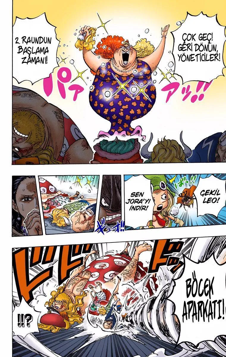 One Piece [Renkli] - Sayfa 12