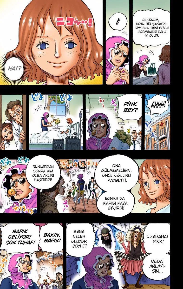 One Piece [Renkli] - Sayfa 16