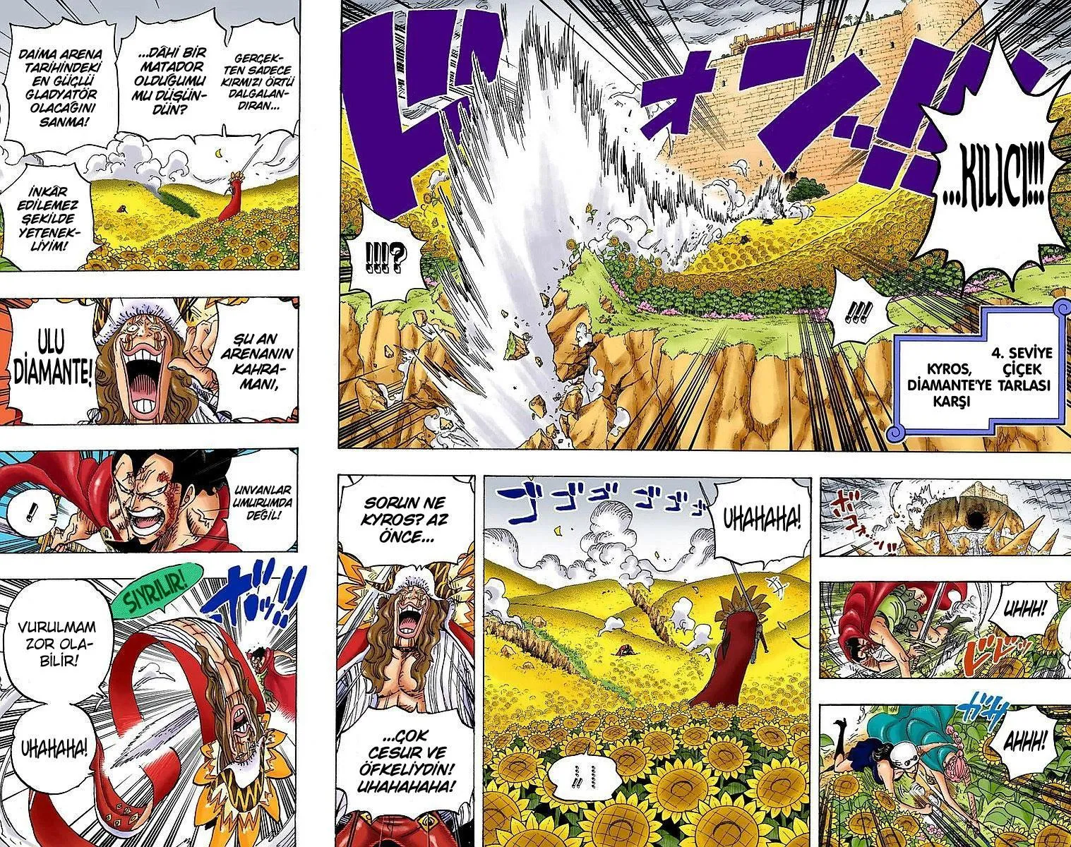 One Piece [Renkli] - Sayfa 5