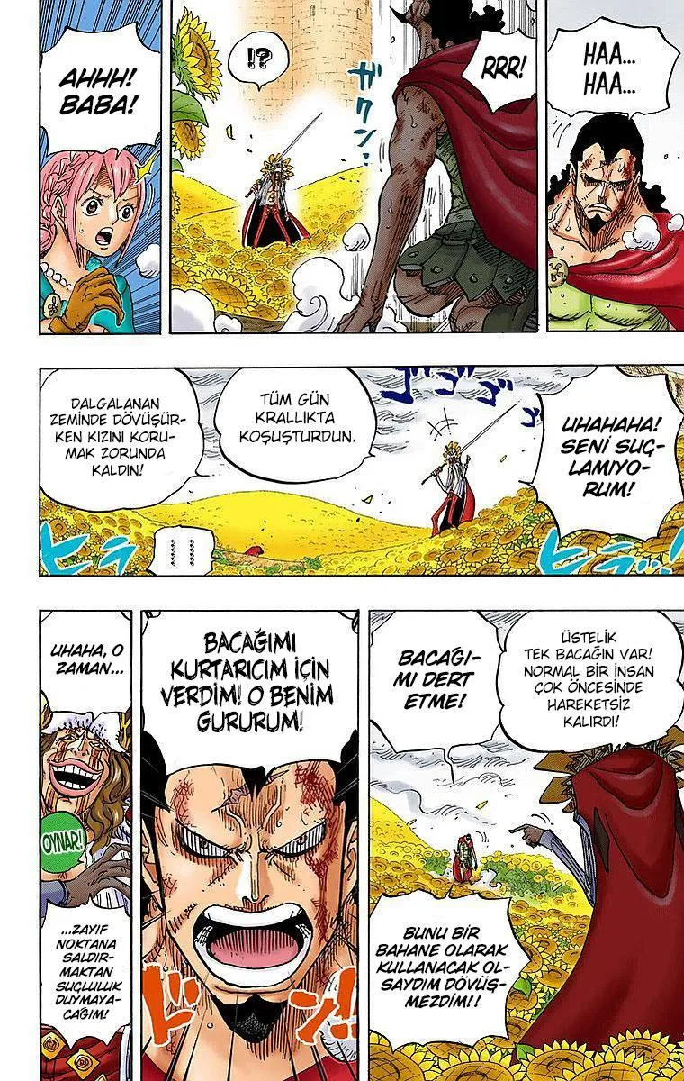 One Piece [Renkli] - Sayfa 6