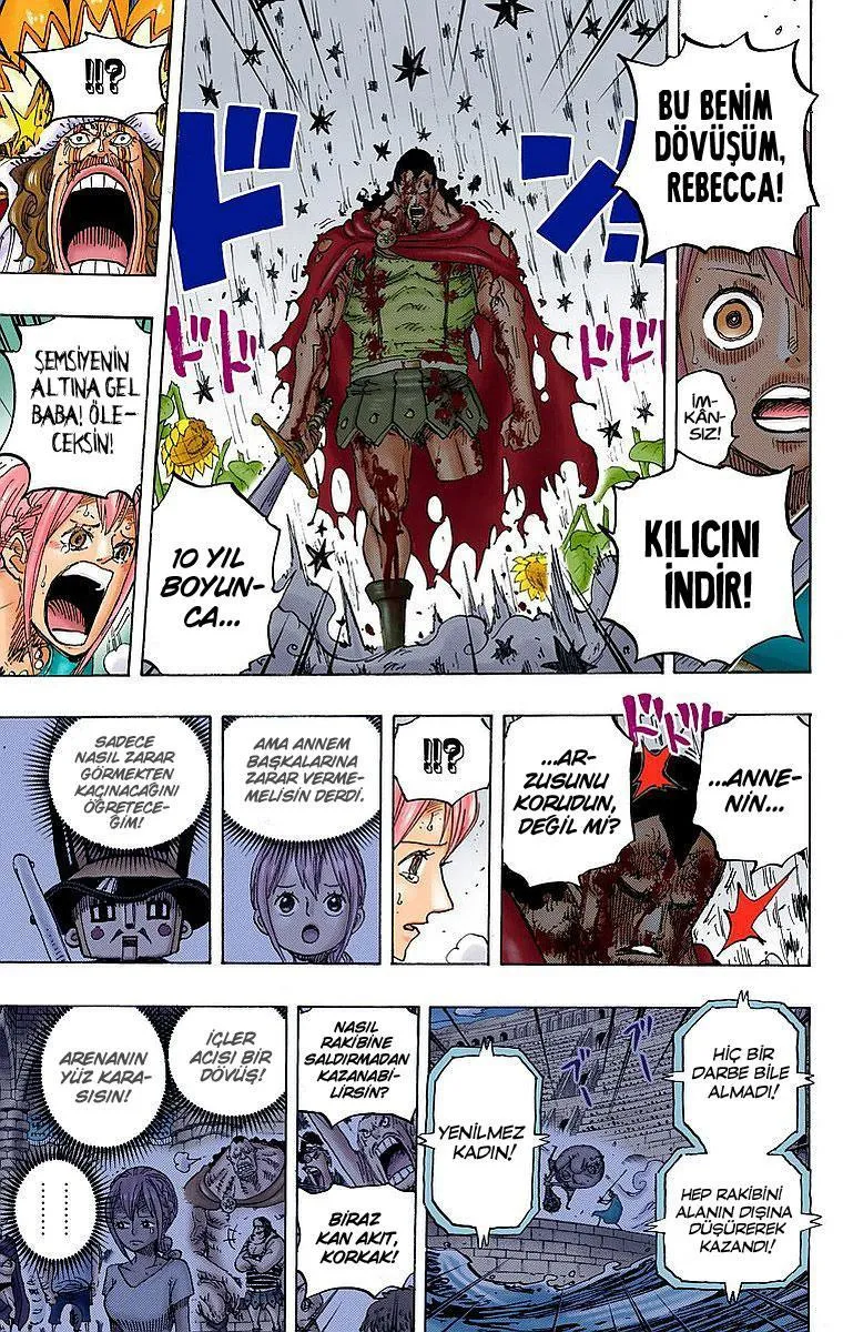 One Piece [Renkli] - Sayfa 13