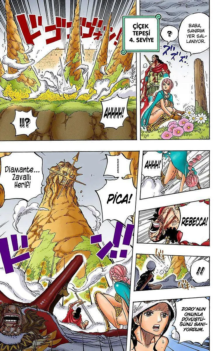 One Piece [Renkli] - Sayfa 10