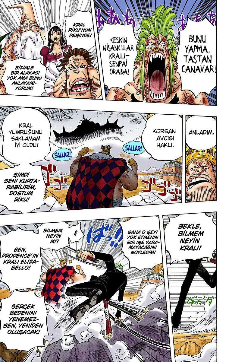One Piece [Renkli] - Sayfa 4