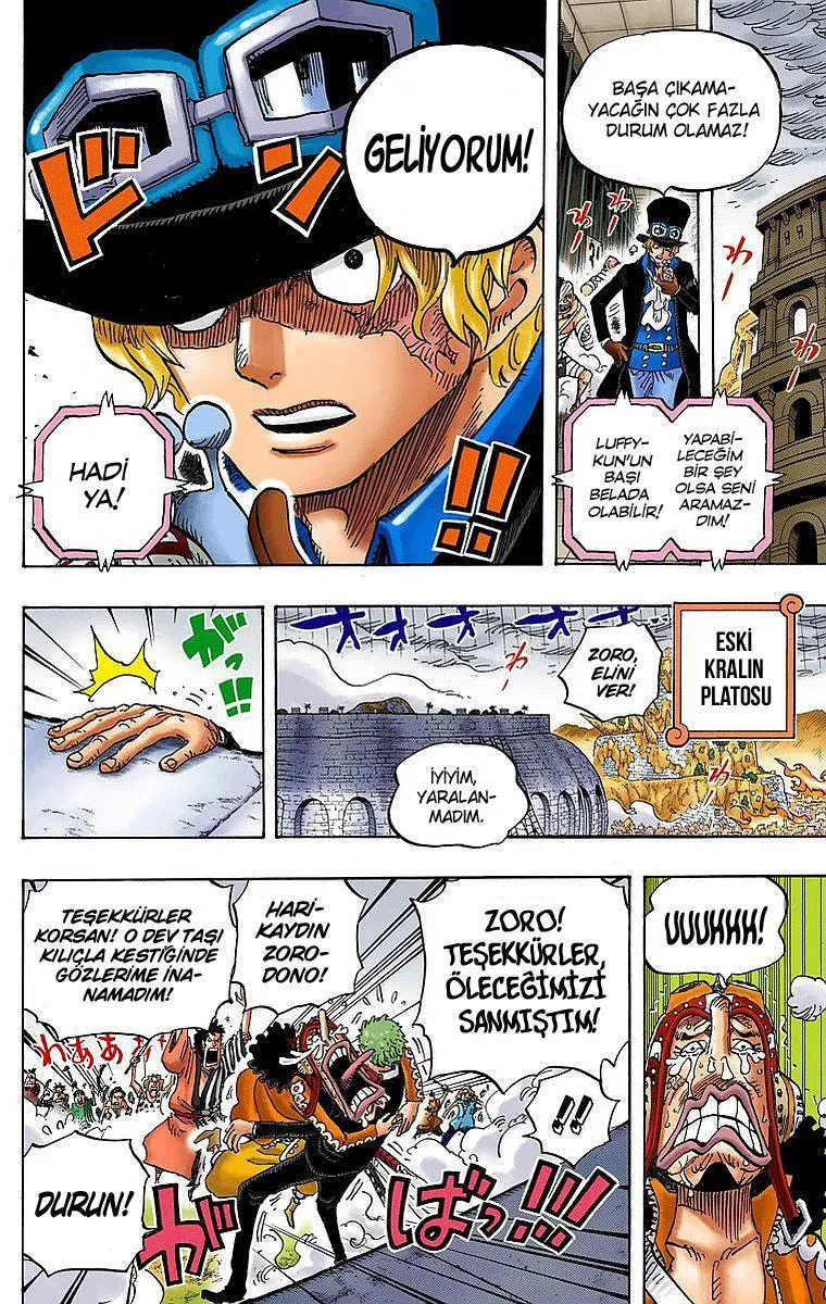 One Piece [Renkli] - Sayfa 10