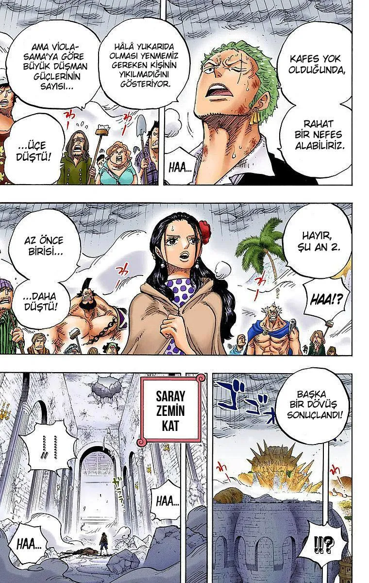 One Piece [Renkli] - Sayfa 11