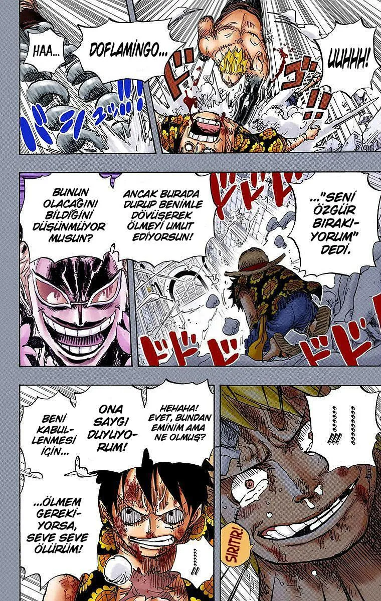 One Piece [Renkli] - Sayfa 14