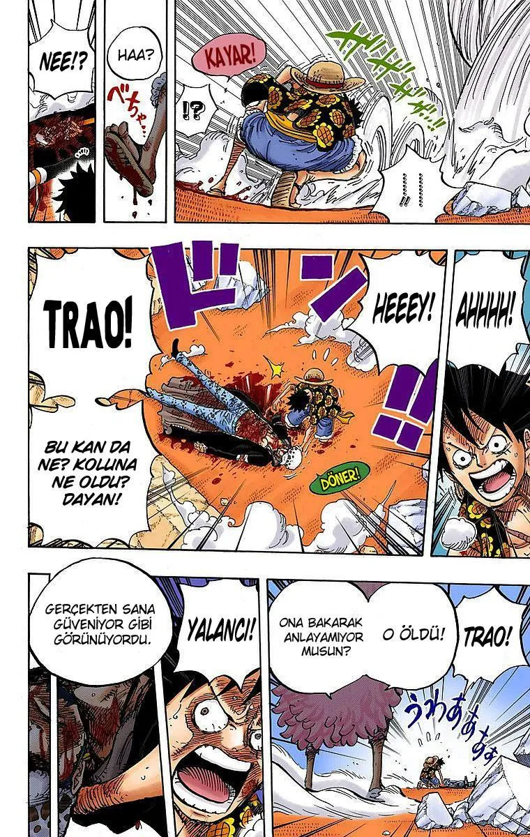 One Piece [Renkli] - Sayfa 15