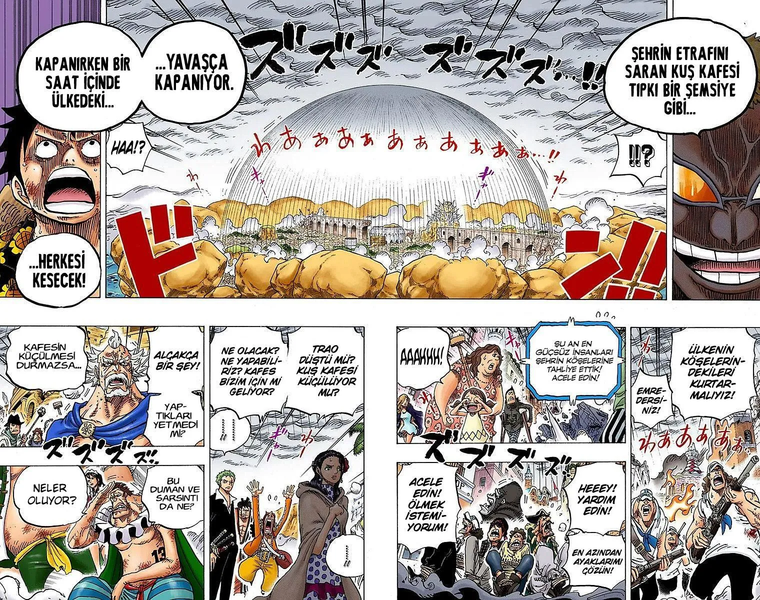 One Piece [Renkli] - Sayfa 5