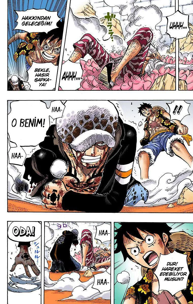One Piece [Renkli] - Sayfa 14
