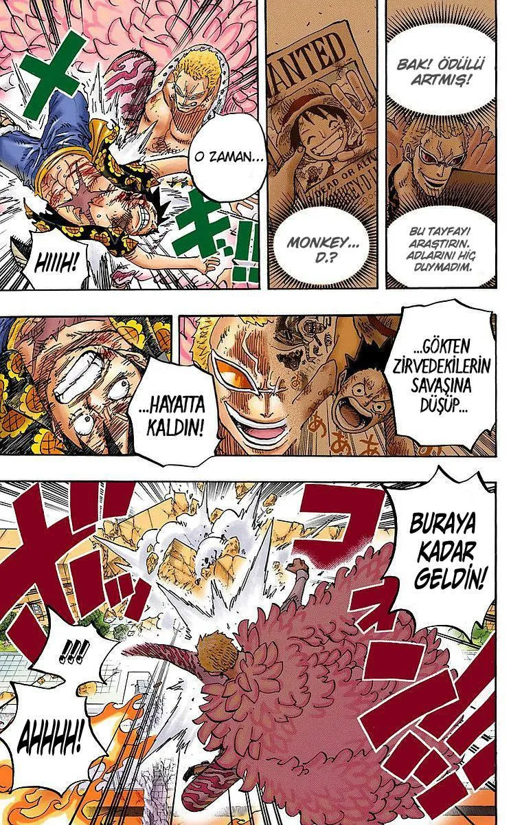 One Piece [Renkli] - Sayfa 12