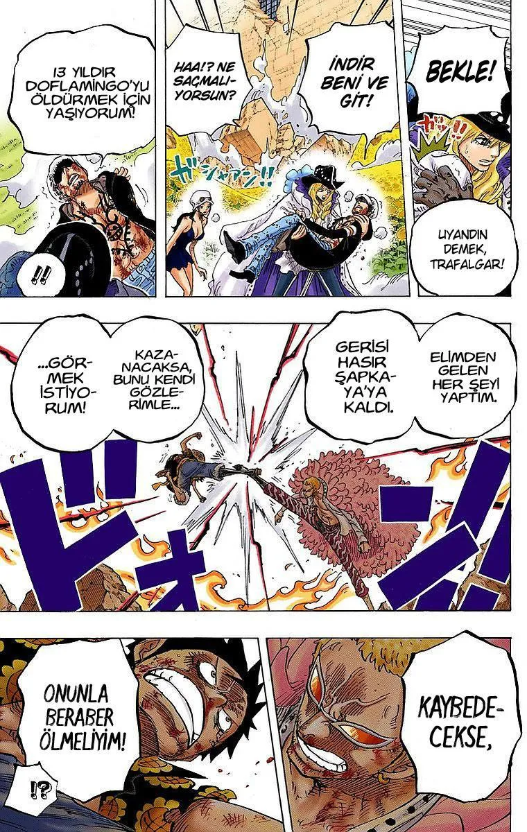 One Piece [Renkli] - Sayfa 14