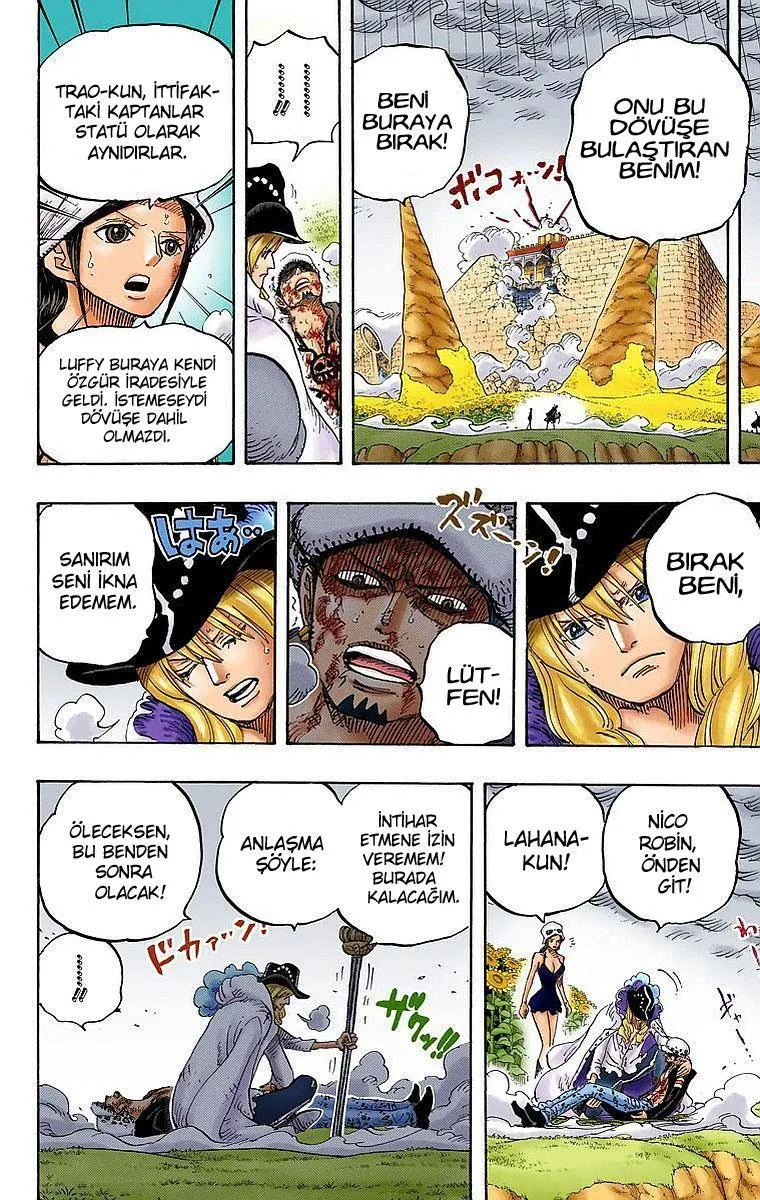 One Piece [Renkli] - Sayfa 15