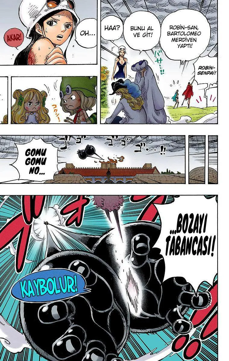 One Piece [Renkli] - Sayfa 16