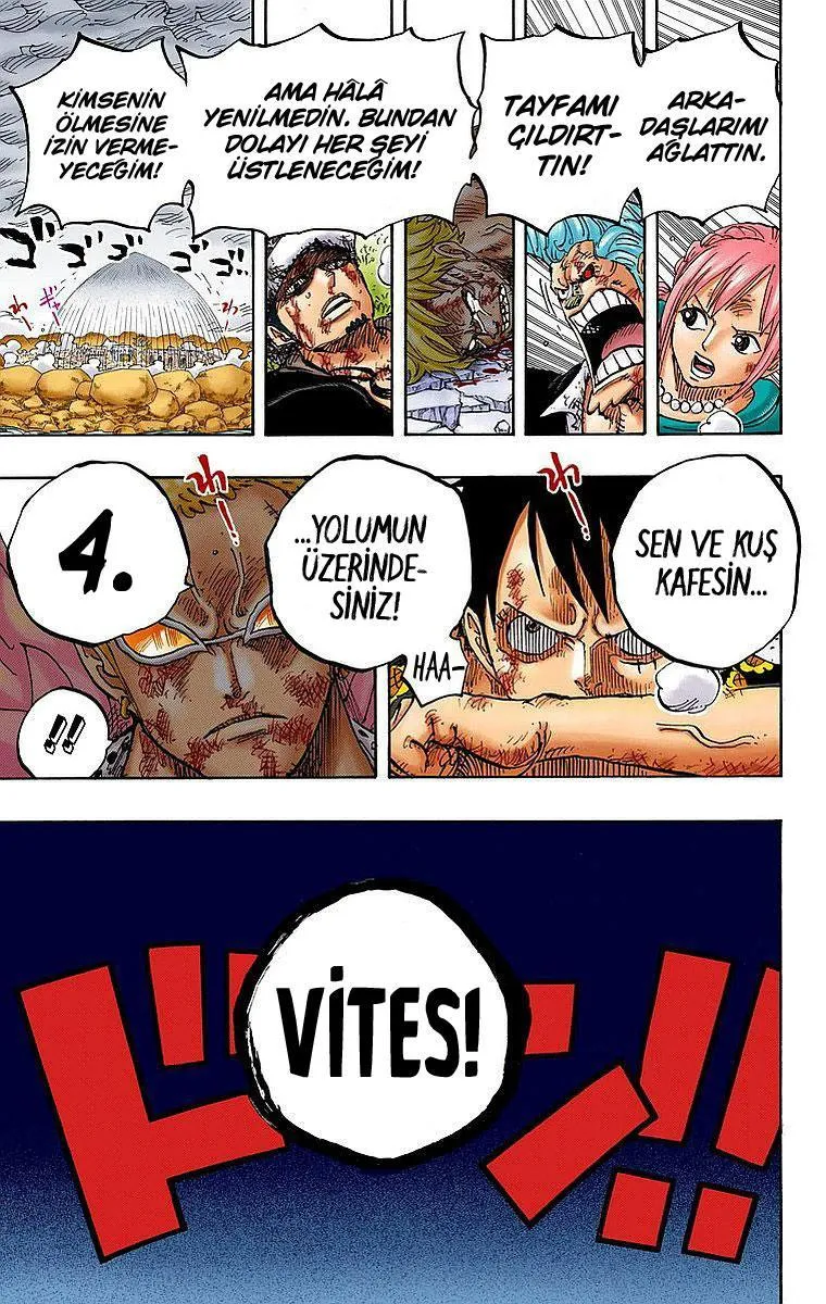 One Piece [Renkli] - Sayfa 19