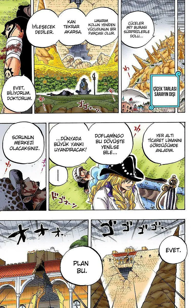 One Piece [Renkli] - Sayfa 5