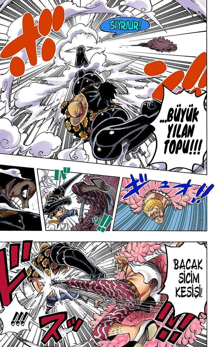 One Piece [Renkli] - Sayfa 15