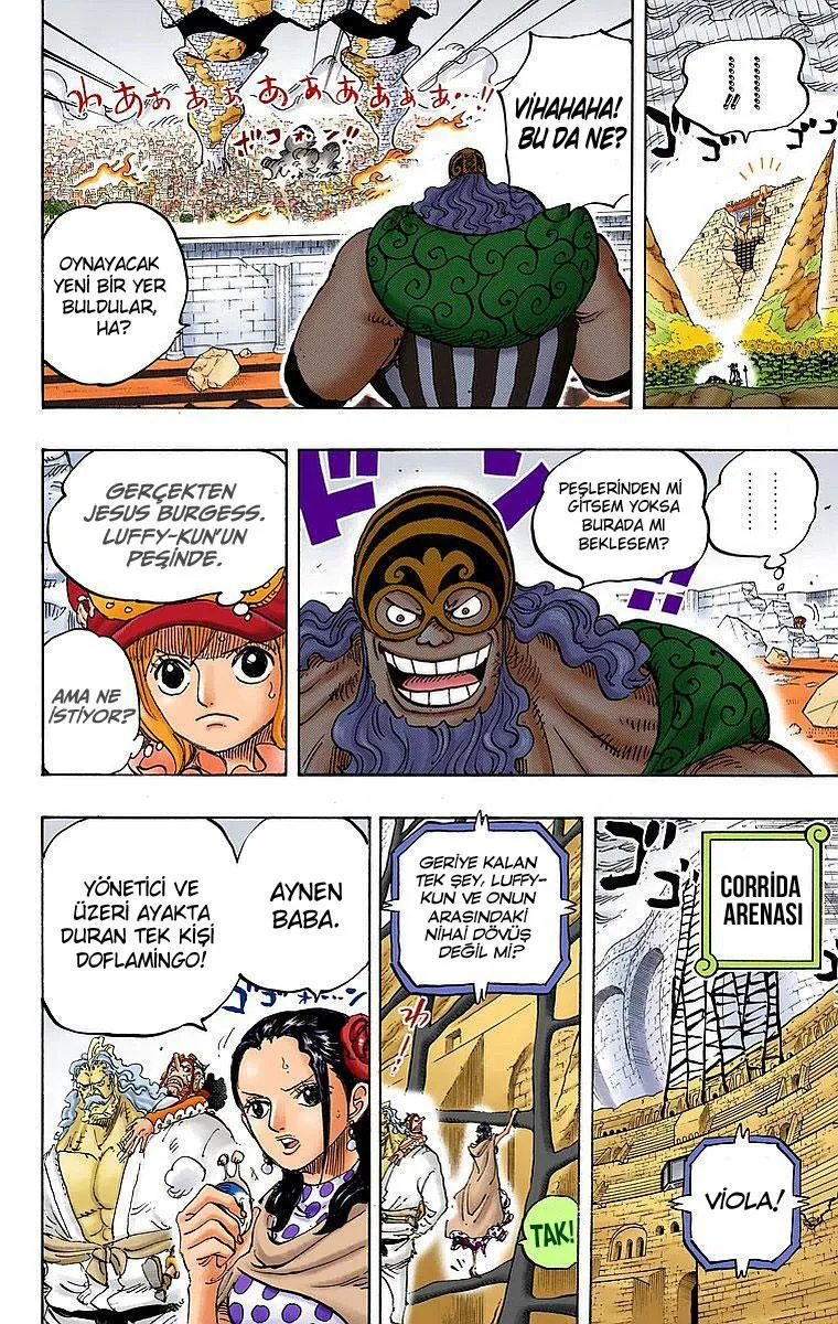 One Piece [Renkli] - Sayfa 5