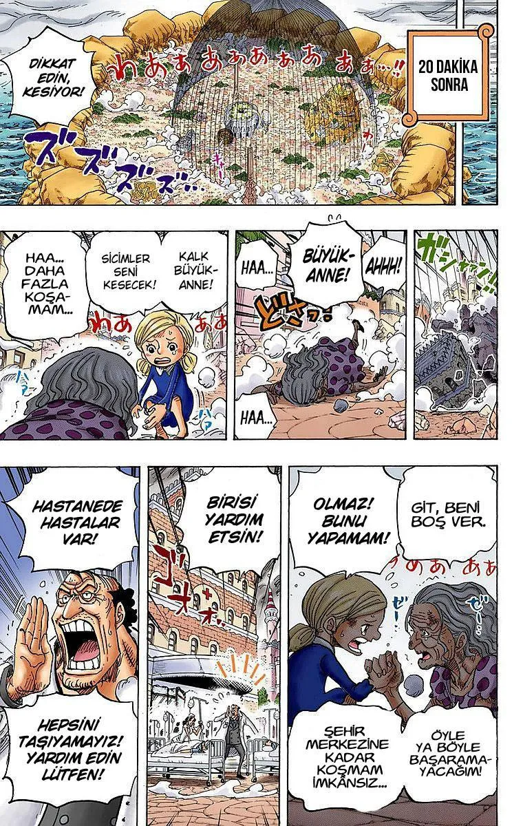 One Piece [Renkli] - Sayfa 10