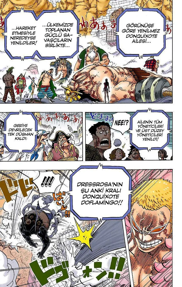 One Piece [Renkli] - Sayfa 14