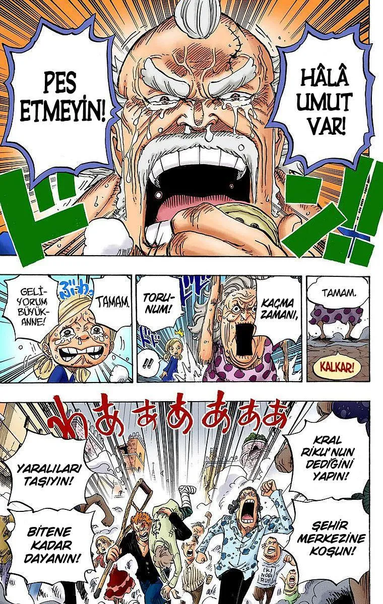 One Piece [Renkli] - Sayfa 16