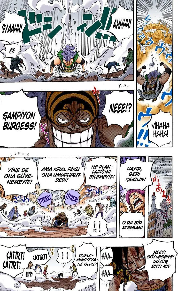 One Piece [Renkli] - Sayfa 10